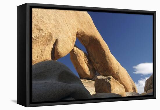 Arch Rock, Arch Rock Trail, Joshua Tree National Park, California, USA-Michel Hersen-Framed Premier Image Canvas