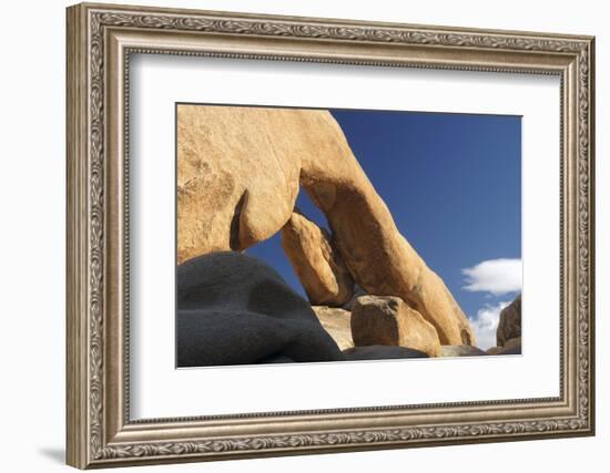 Arch Rock, Arch Rock Trail, Joshua Tree National Park, California, USA-Michel Hersen-Framed Photographic Print