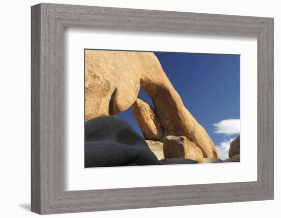 Arch Rock, Arch Rock Trail, Joshua Tree National Park, California, USA-Michel Hersen-Framed Photographic Print