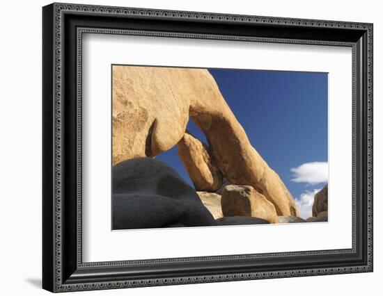 Arch Rock, Arch Rock Trail, Joshua Tree National Park, California, USA-Michel Hersen-Framed Photographic Print