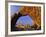 Arch Rock, Joshua Tree National Park, California, USA-Chuck Haney-Framed Photographic Print