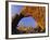 Arch Rock, Joshua Tree National Park, California, USA-Chuck Haney-Framed Photographic Print