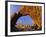 Arch Rock, Joshua Tree National Park, California, USA-Chuck Haney-Framed Photographic Print