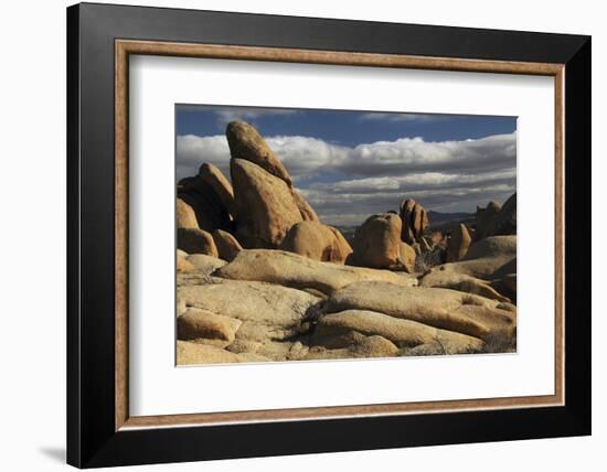 Arch Rock Trail, Joshua Tree National Park, California, USA-Michel Hersen-Framed Photographic Print