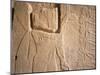 Archaeological Area, Nimrud, Iraq, Middle East-Nico Tondini-Mounted Photographic Print