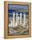 Archaeological Site, Delos, Unesco World Heritage Site, Greece-Adam Woolfitt-Framed Premier Image Canvas