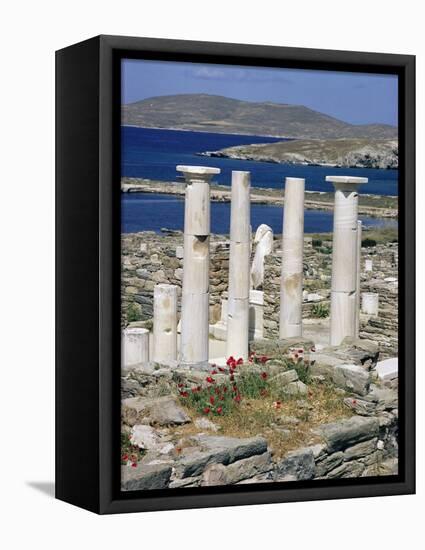 Archaeological Site, Delos, Unesco World Heritage Site, Greece-Adam Woolfitt-Framed Premier Image Canvas