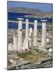 Archaeological Site, Delos, Unesco World Heritage Site, Greece-Adam Woolfitt-Mounted Photographic Print