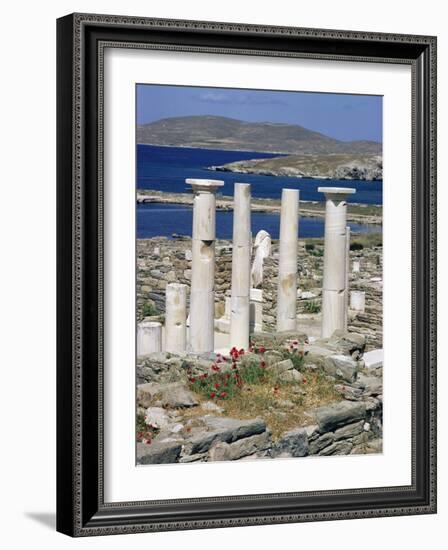 Archaeological Site, Delos, Unesco World Heritage Site, Greece-Adam Woolfitt-Framed Photographic Print