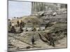 Archaeologists Excavating Ancient Ruins on the Acropolis, Athens, 1890s-null-Mounted Giclee Print