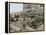 Archaeologists Excavating Ancient Ruins on the Acropolis, Athens, 1890s-null-Framed Premier Image Canvas