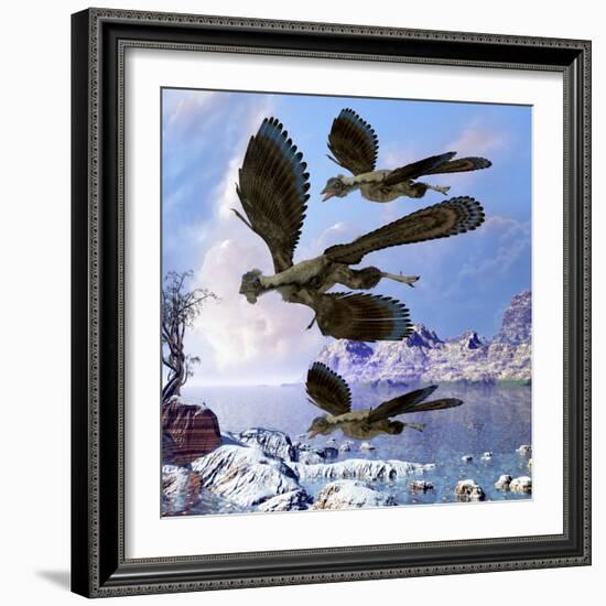 Archaeopteryx Birds Fly Near a Shoreline on a Cloudy Prehistoric Day-Stocktrek Images-Framed Art Print