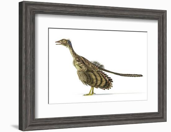 Archaeopteryx Dinosaur, Artwork-null-Framed Photographic Print