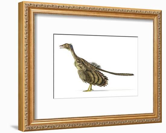 Archaeopteryx Dinosaur, Artwork-null-Framed Photographic Print