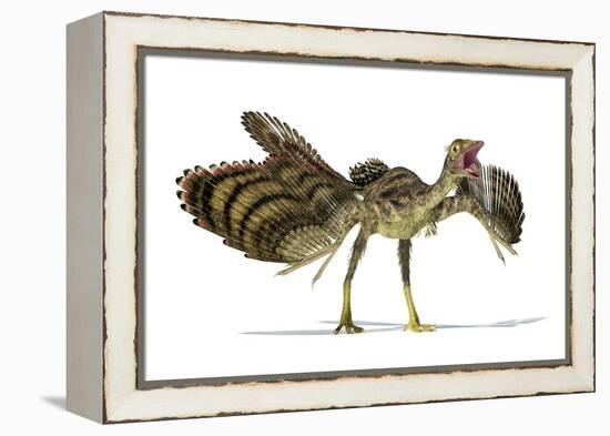Archaeopteryx Dinosaur, Artwork-null-Framed Premier Image Canvas