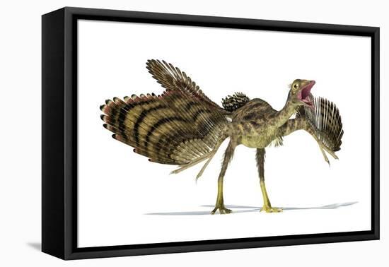 Archaeopteryx Dinosaur, Artwork-null-Framed Premier Image Canvas