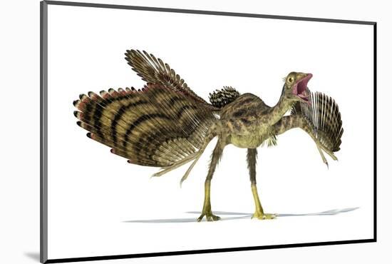 Archaeopteryx Dinosaur, Artwork-null-Mounted Photographic Print