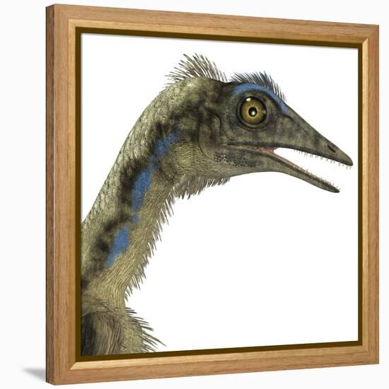 Archaeopteryx Is a Carnivorous Bird That Lived During the Jurassic Period-Stocktrek Images-Framed Stretched Canvas