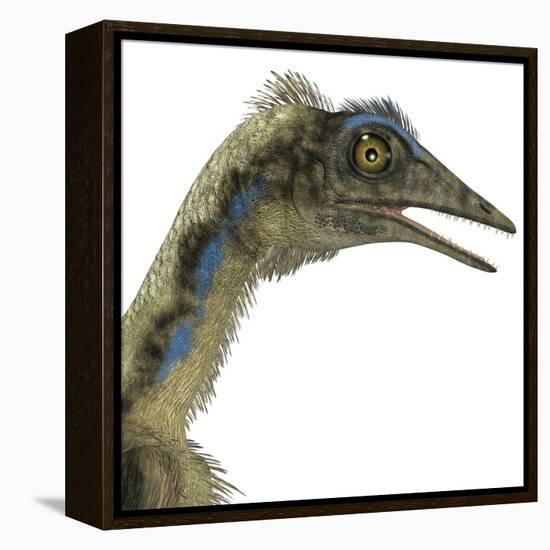 Archaeopteryx Is a Carnivorous Bird That Lived During the Jurassic Period-Stocktrek Images-Framed Stretched Canvas