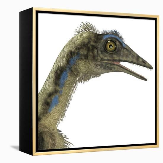 Archaeopteryx Is a Carnivorous Bird That Lived During the Jurassic Period-Stocktrek Images-Framed Stretched Canvas