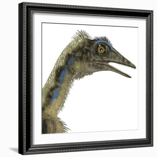 Archaeopteryx Is a Carnivorous Bird That Lived During the Jurassic Period-Stocktrek Images-Framed Premium Giclee Print