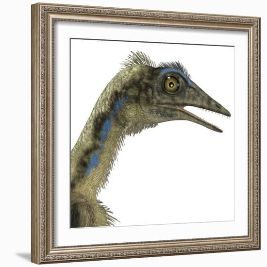 Archaeopteryx Is a Carnivorous Bird That Lived During the Jurassic Period-Stocktrek Images-Framed Art Print