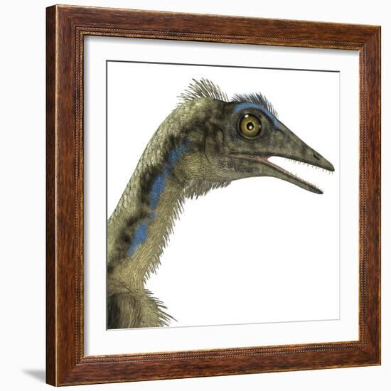 Archaeopteryx Is a Carnivorous Bird That Lived During the Jurassic Period-Stocktrek Images-Framed Art Print