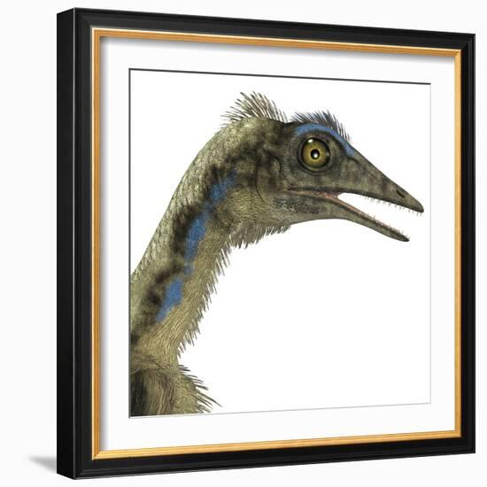 Archaeopteryx Is a Carnivorous Bird That Lived During the Jurassic Period-Stocktrek Images-Framed Art Print