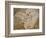 Archaeopteryx Lithographica Fossil-Naturfoto Honal-Framed Photographic Print