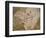 Archaeopteryx Lithographica Fossil-Naturfoto Honal-Framed Photographic Print