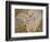 Archaeopteryx Lithographica Fossil-Naturfoto Honal-Framed Photographic Print