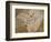 Archaeopteryx Lithographica Fossil-Naturfoto Honal-Framed Photographic Print