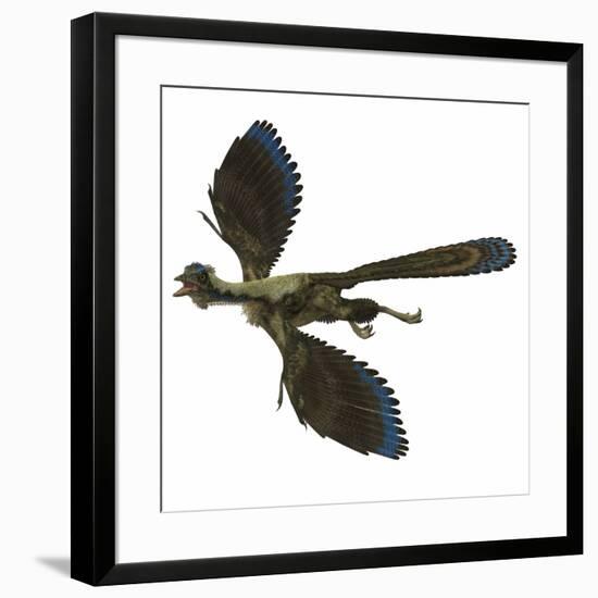 Archaeopteryx Prehistoric Bird-Stocktrek Images-Framed Art Print