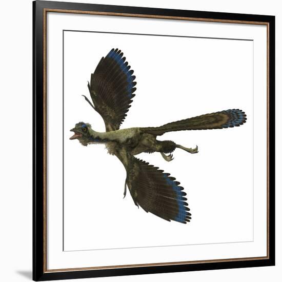 Archaeopteryx Prehistoric Bird-Stocktrek Images-Framed Art Print