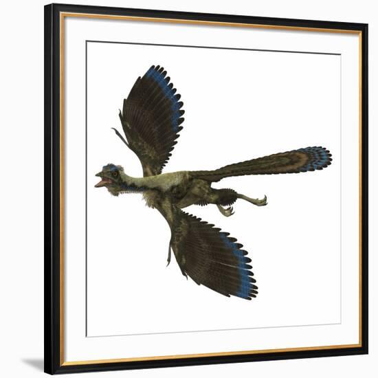 Archaeopteryx Prehistoric Bird-Stocktrek Images-Framed Art Print