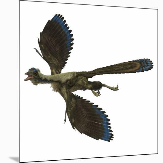 Archaeopteryx Prehistoric Bird-Stocktrek Images-Mounted Art Print