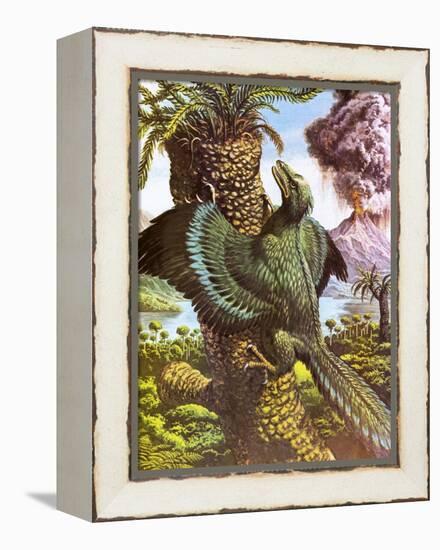 Archaeopteryx-Payne-Framed Premier Image Canvas