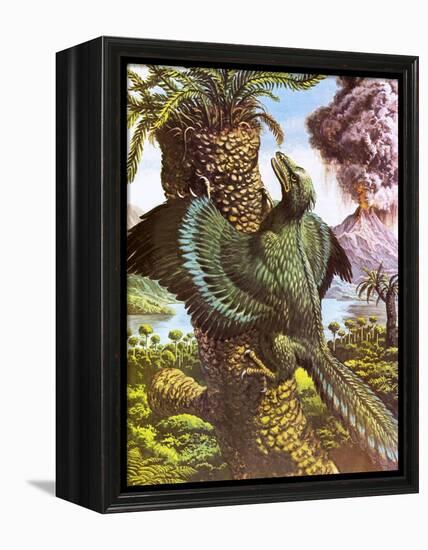 Archaeopteryx-Payne-Framed Premier Image Canvas