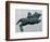 Archaic Greek bronze of a horse and rider, 6th century BC. Artist: Unknown-Unknown-Framed Giclee Print