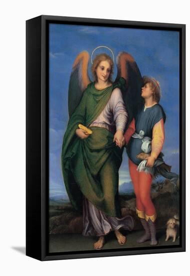 Archangel Raphael with Tobias-Andrea del Sarto-Framed Stretched Canvas