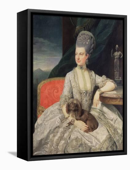 Archduchess Maria Christine Habsburg-Lothringen (1742-98), Daughter of Empress Maria Theresa of Aus-Johann Zoffany-Framed Premier Image Canvas