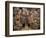 Archduke Leopold Wilhelm in His Picture Gallery-David Teniers the Younger-Framed Art Print