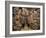 Archduke Leopold Wilhelm in His Picture Gallery-David Teniers the Younger-Framed Art Print