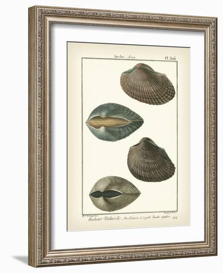 Arche Shells, Pl.306-Diderot-Framed Art Print