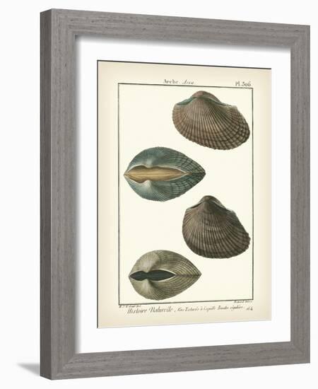 Arche Shells, Pl.306-Diderot-Framed Art Print