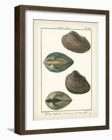 Arche Shells, Pl.306-Diderot-Framed Art Print