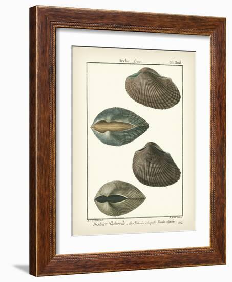 Arche Shells, Pl.306-Diderot-Framed Art Print