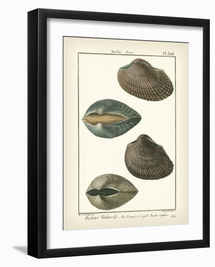 Arche Shells, Pl.306-Diderot-Framed Art Print