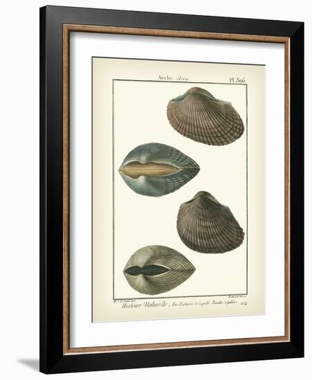 Arche Shells, Pl.306-Diderot-Framed Art Print