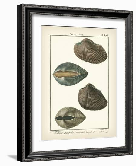 Arche Shells, Pl.306-Diderot-Framed Art Print